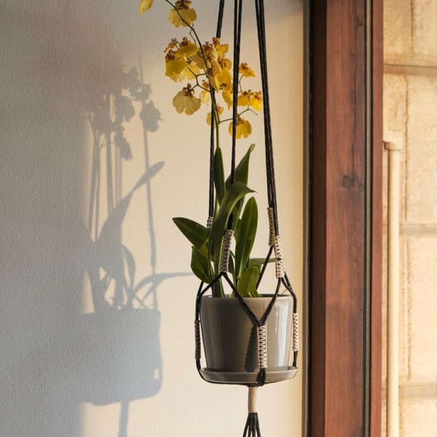 Home Accessories * | Hay Phanta Plant Hanger Cheaper