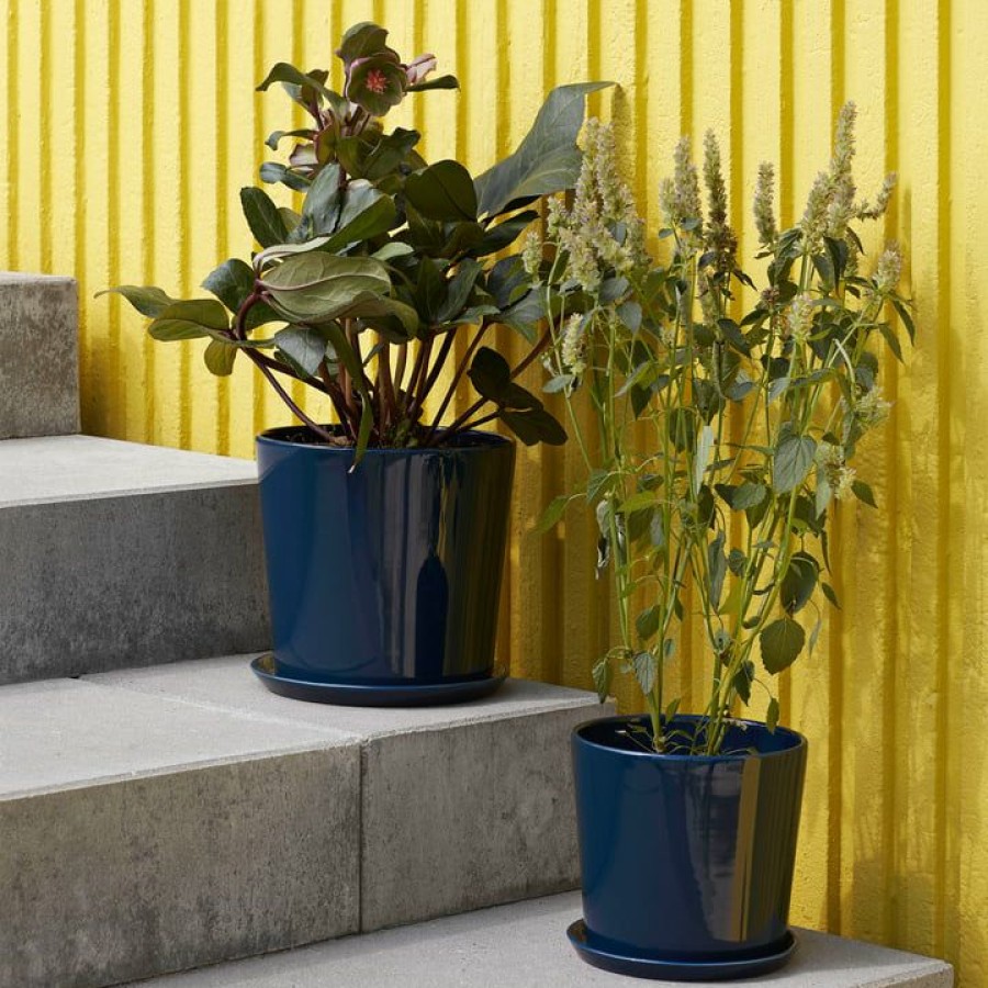 Home Accessories * | Hay Botanical Family Planter Special Offers